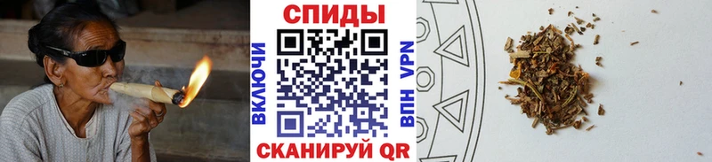 Бутират бутандиол  закладка  Бородино 