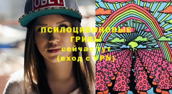 ГАЛЛЮЦИНОГЕННЫЕ ГРИБЫ Протвино