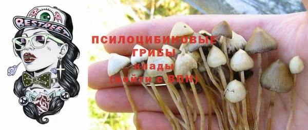 ешки Ростов